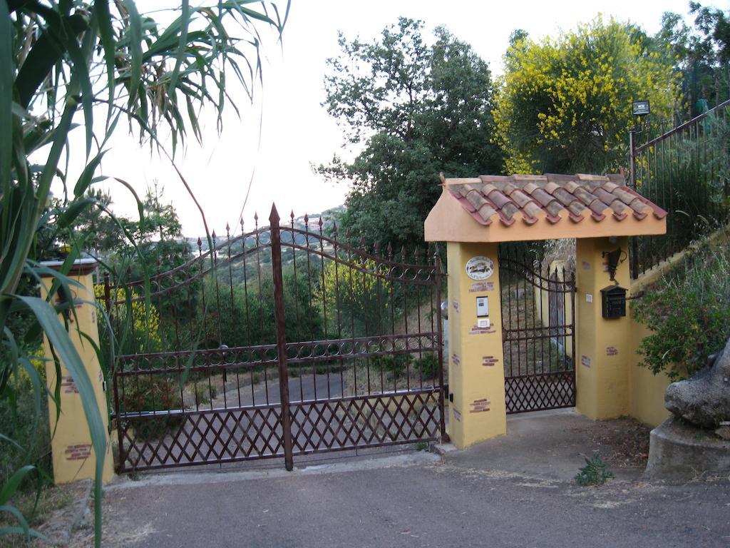 Le Roverelle Ilbono Exteriör bild